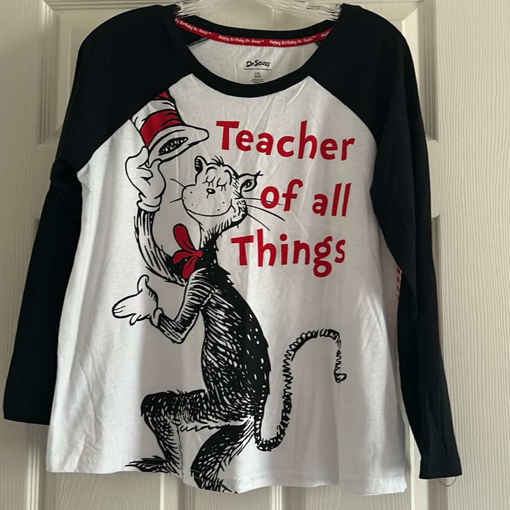 Teacher Raglan Tee Shirt (Teacher of All Things)